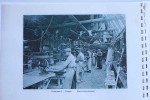 15_dassel_broschuere_1952