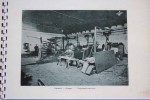 26_dassel_broschuere_1952