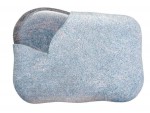 Form LF 40-2