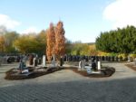 DSCN0111